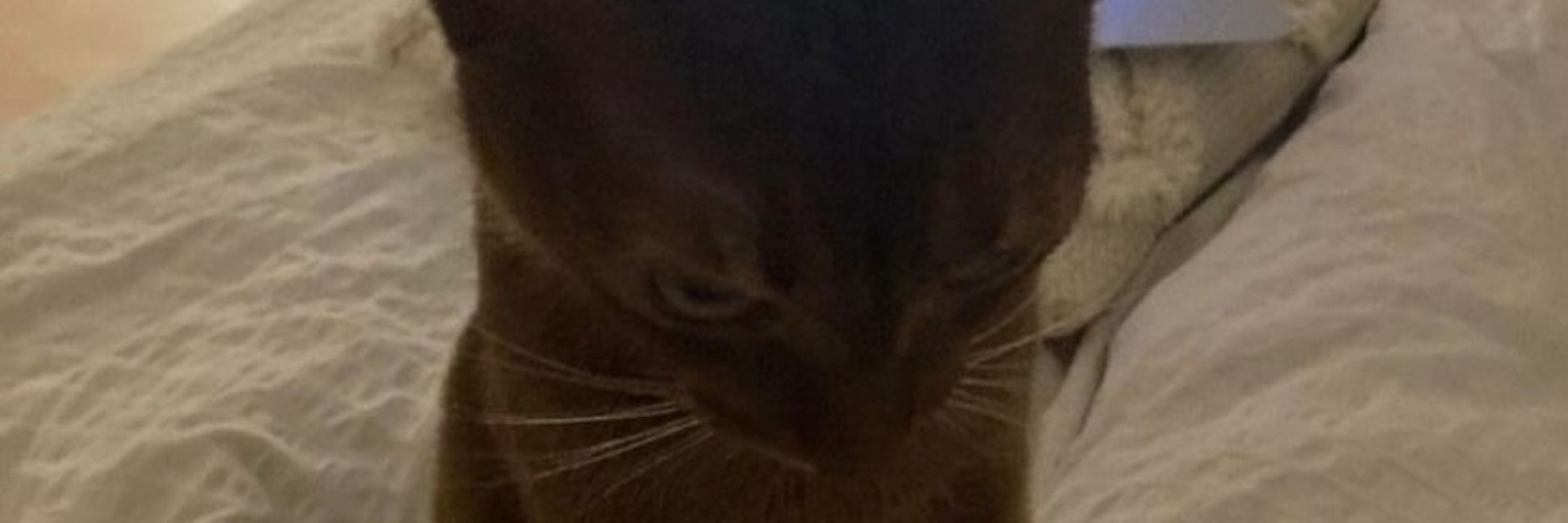 KEZ