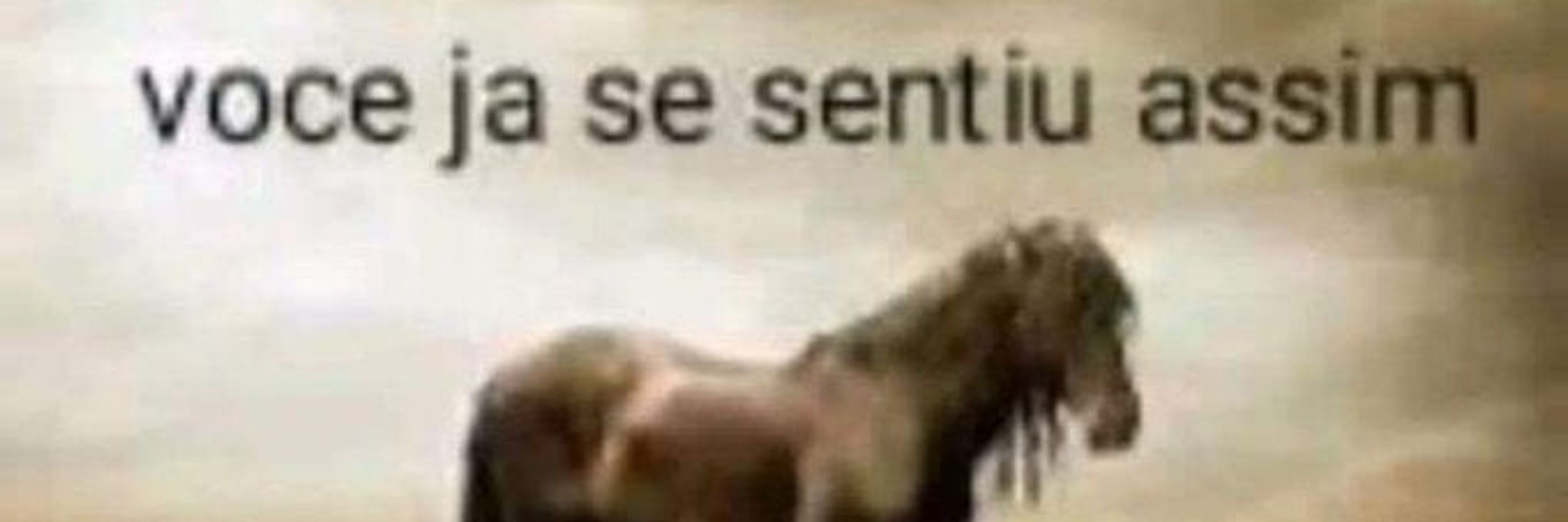 Prof noslen da modernidade líquida 