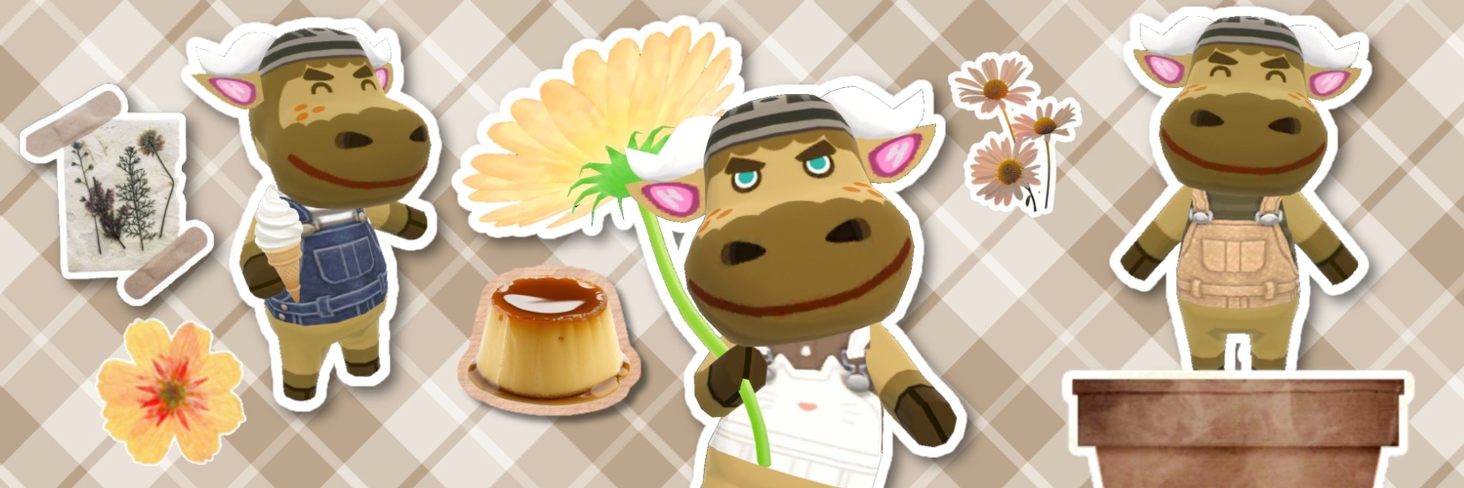 Kai 🐮