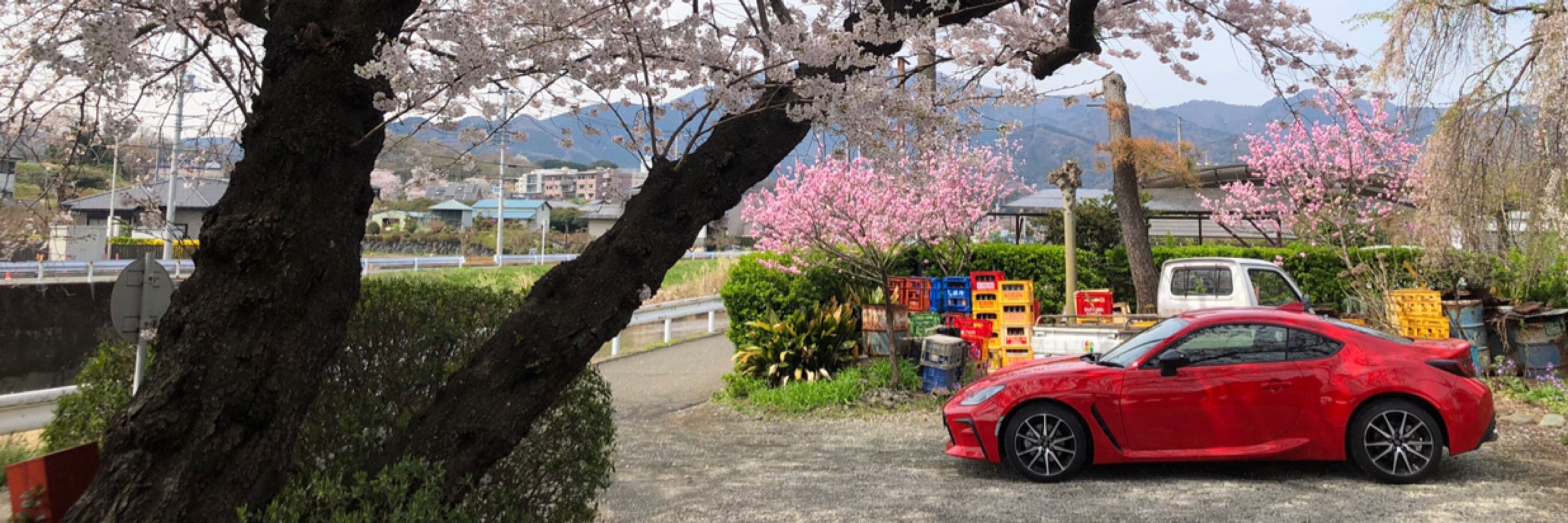 かりふぁ