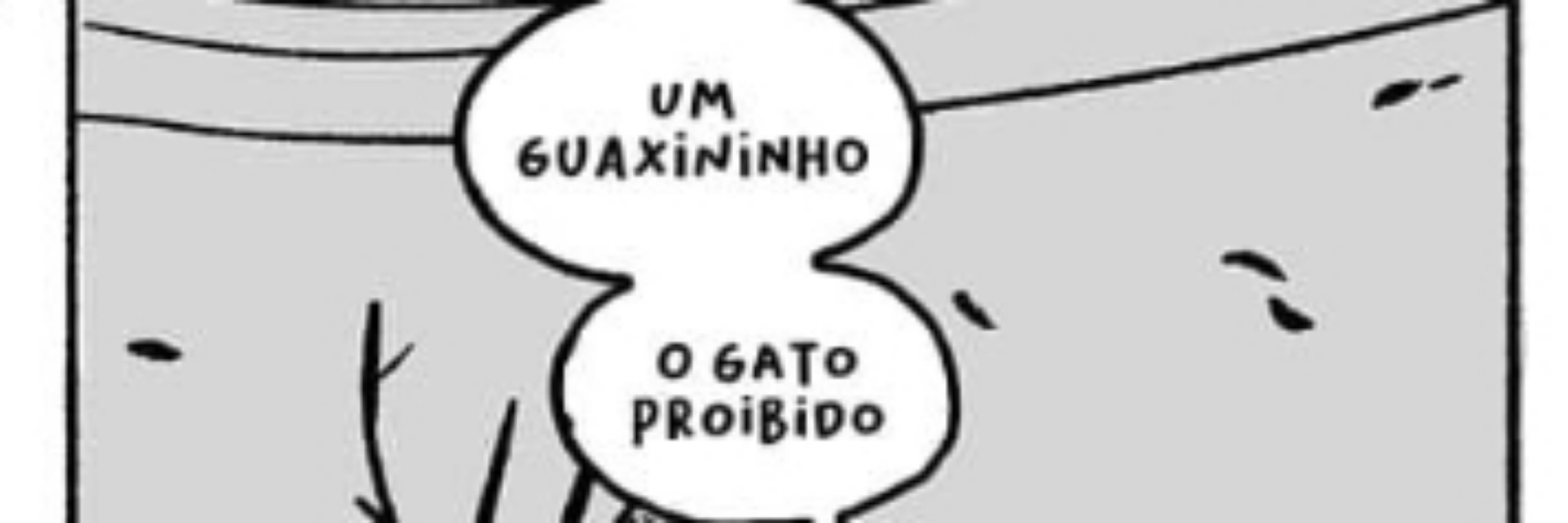 O Caio