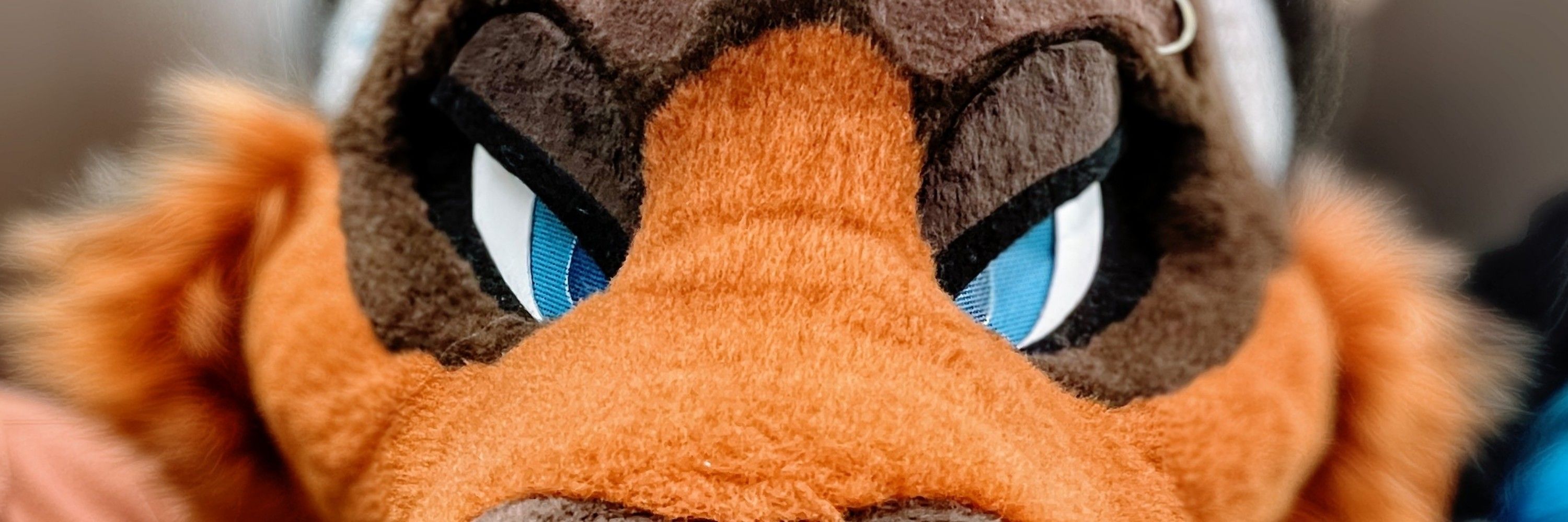 Coda Yote