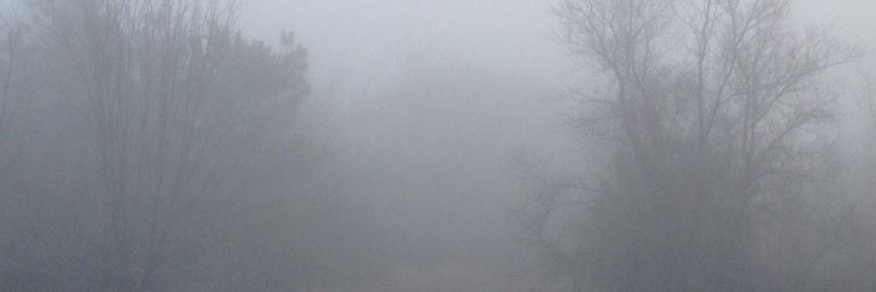 the fog 🏳️‍⚧️