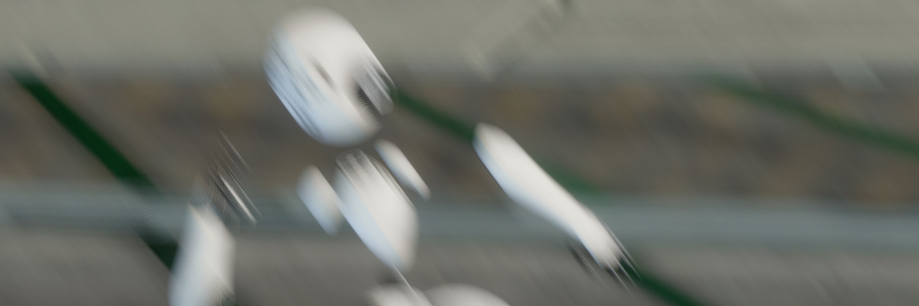 B The Bot