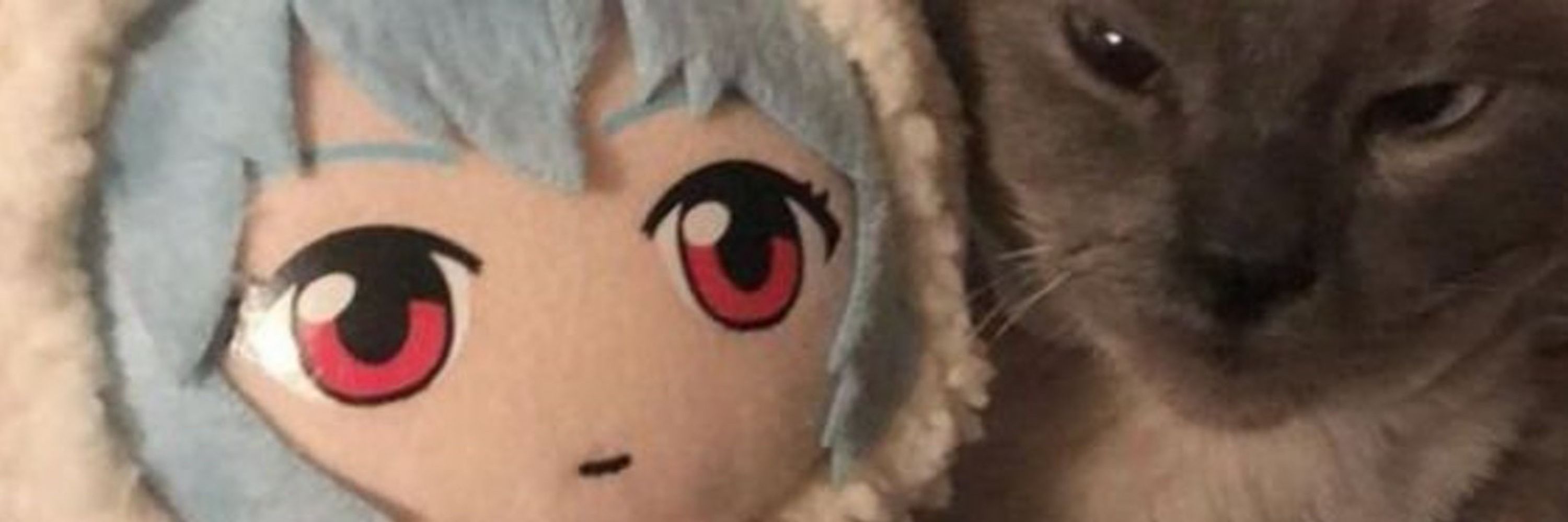 Kogu💫