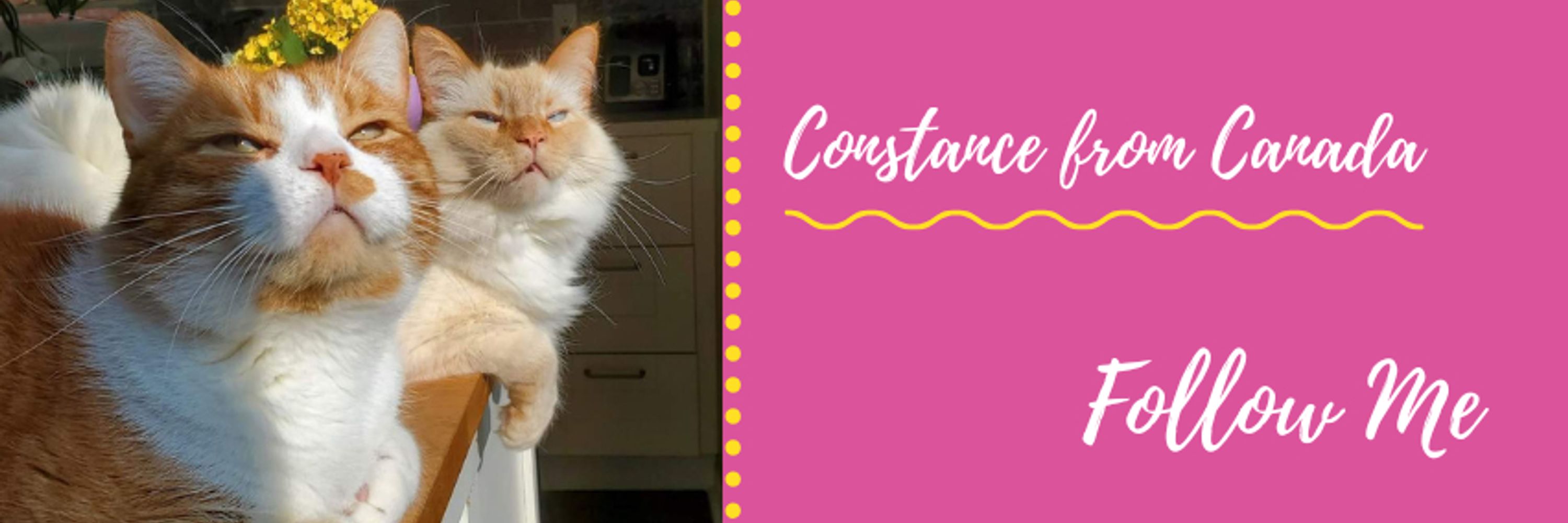 Constance from Canada 🇨🇦