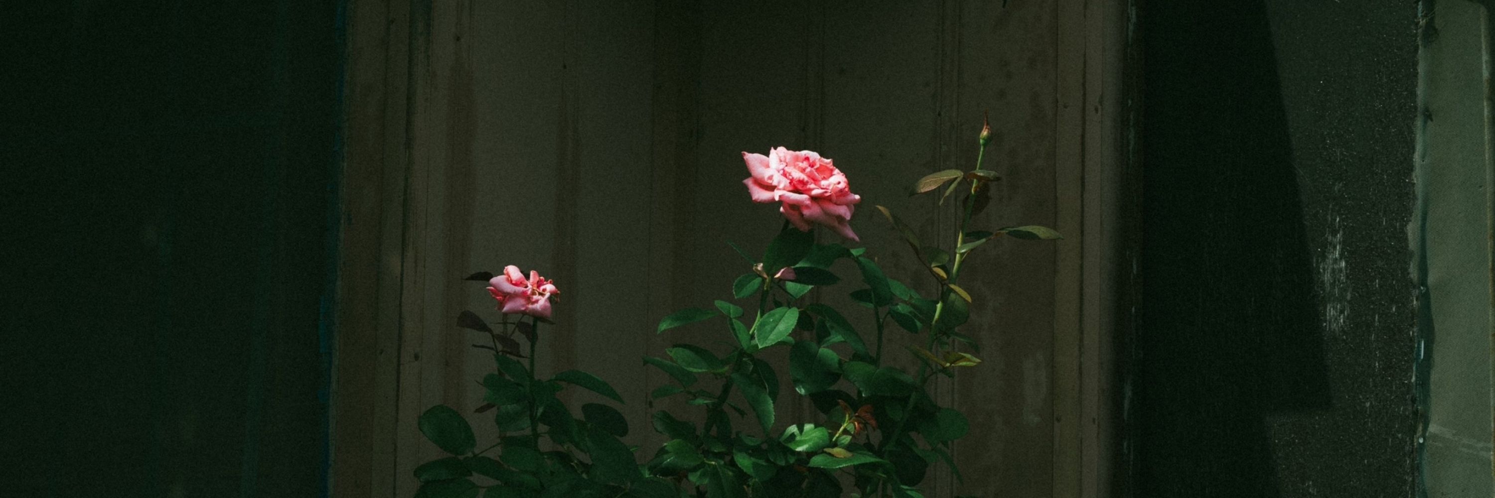 𝓜𝓪𝓻𝓲𝓪