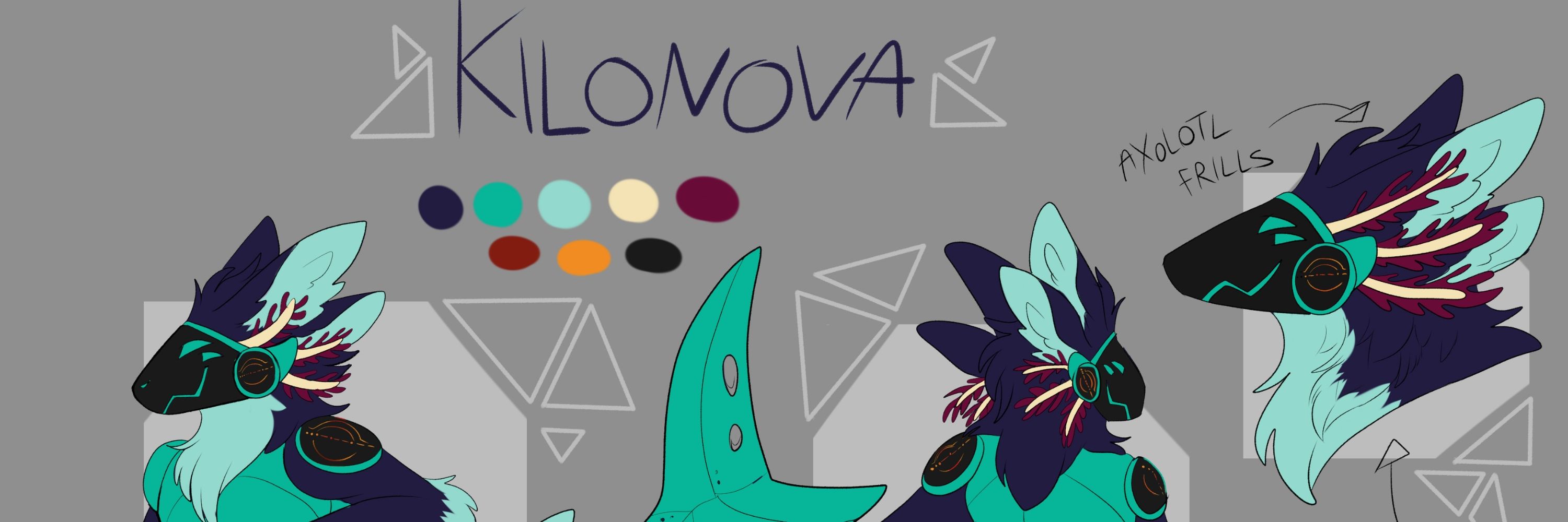 Kilonova FSA 