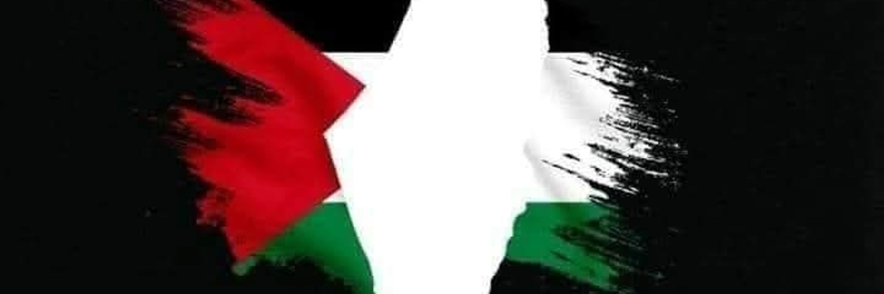 Abod.Hajjaj