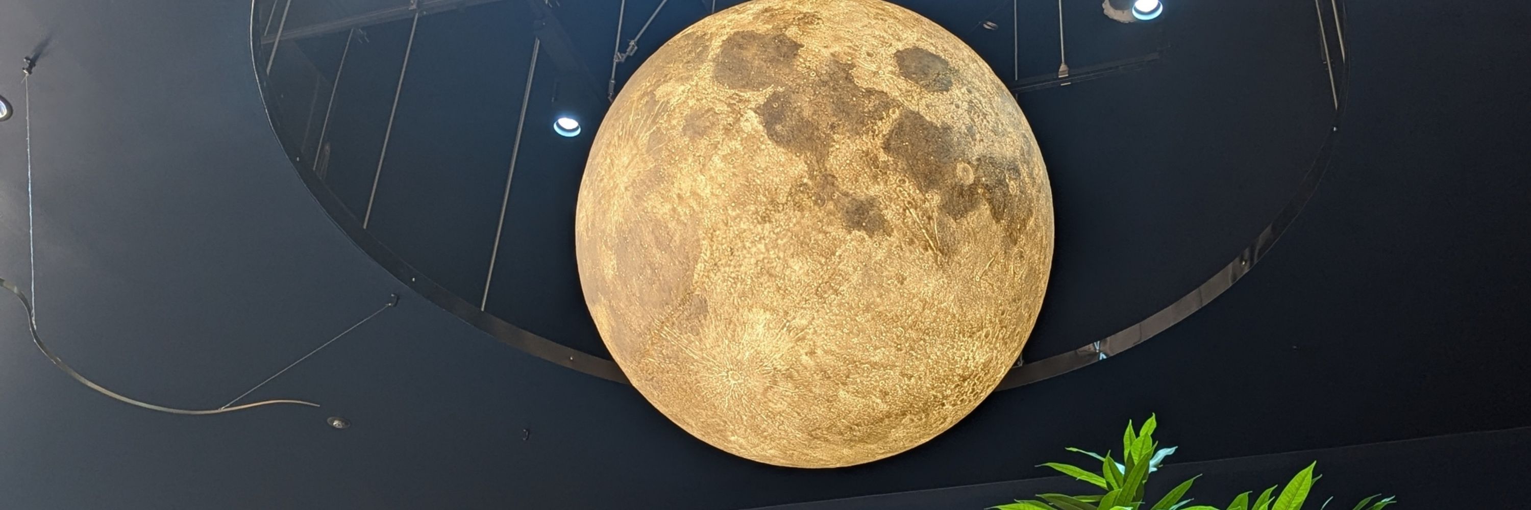 6P