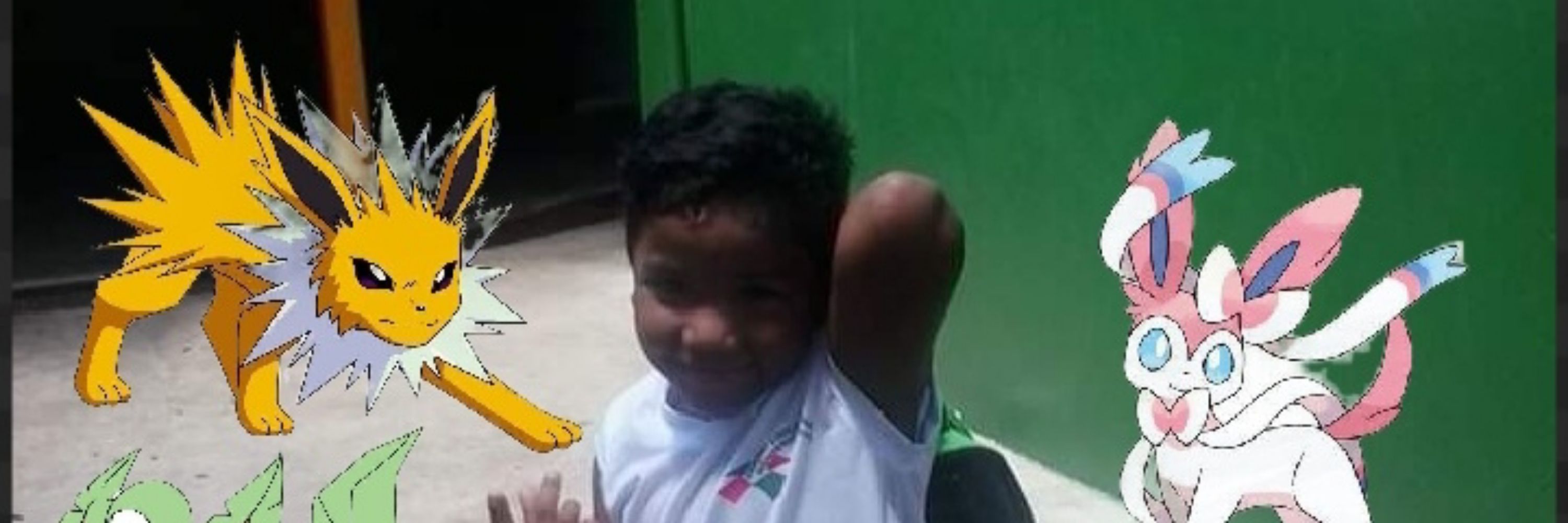 musquito