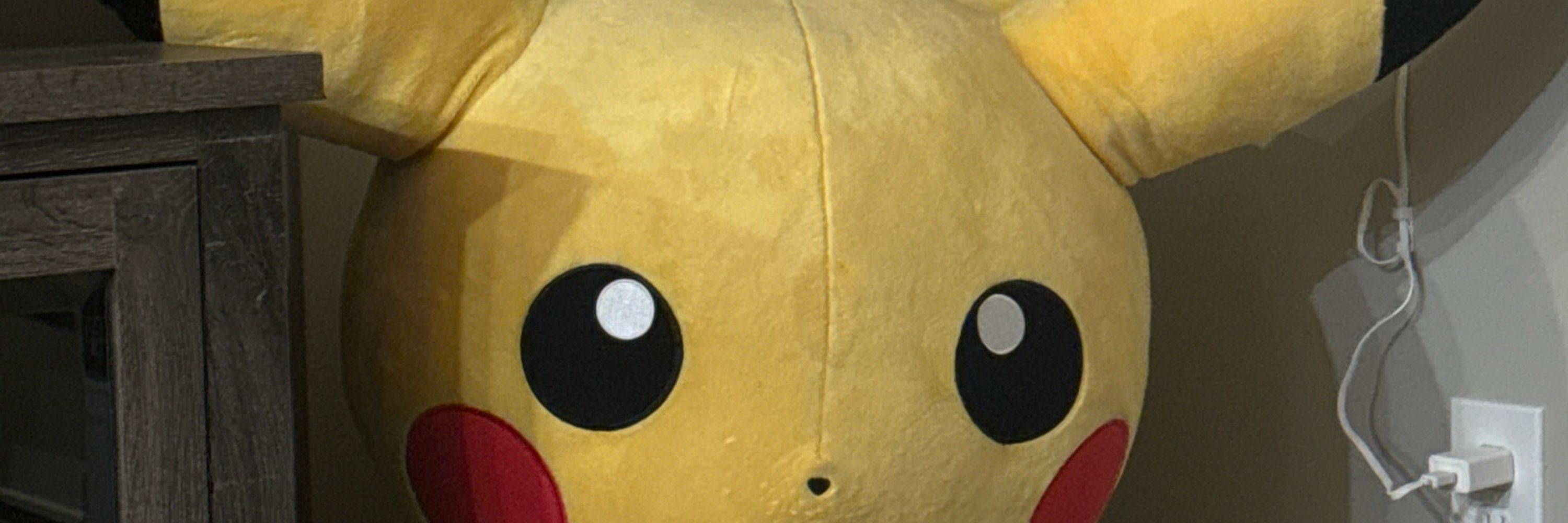 Pokémon Enthusiast