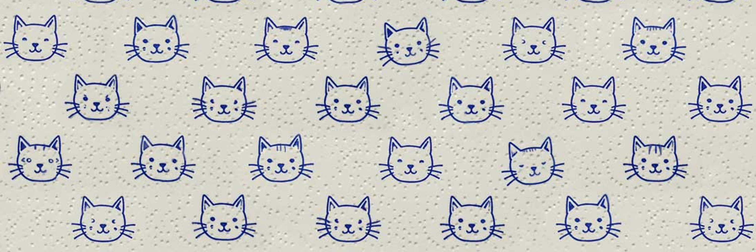 napKat