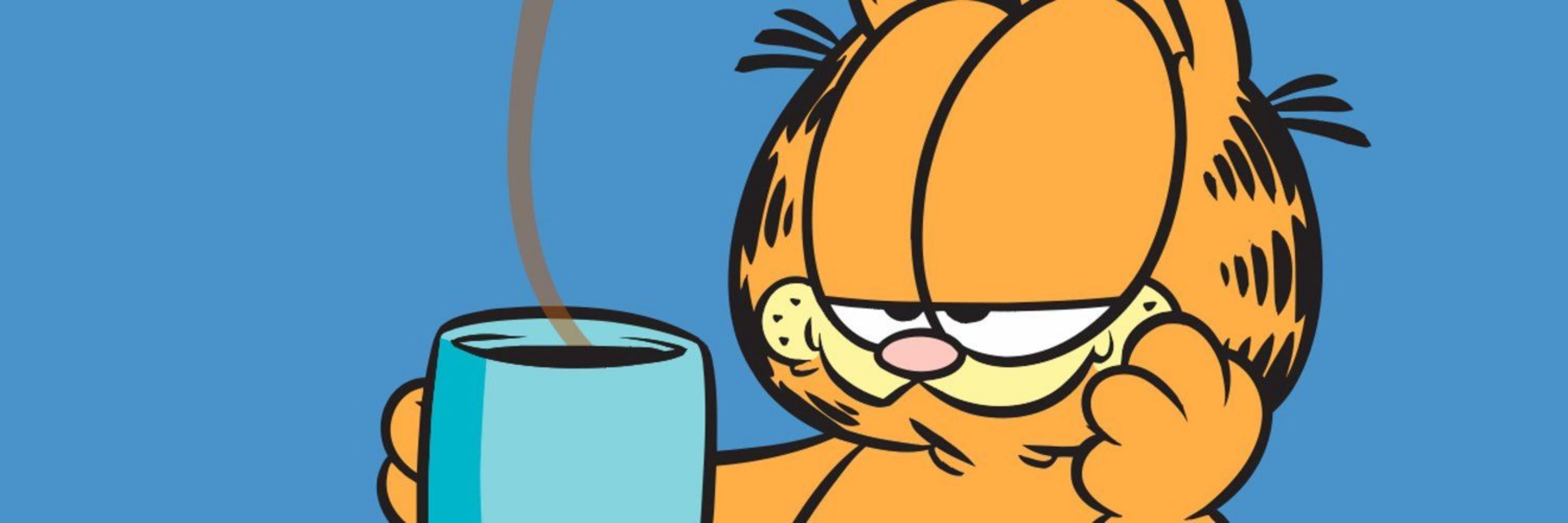 random garfield