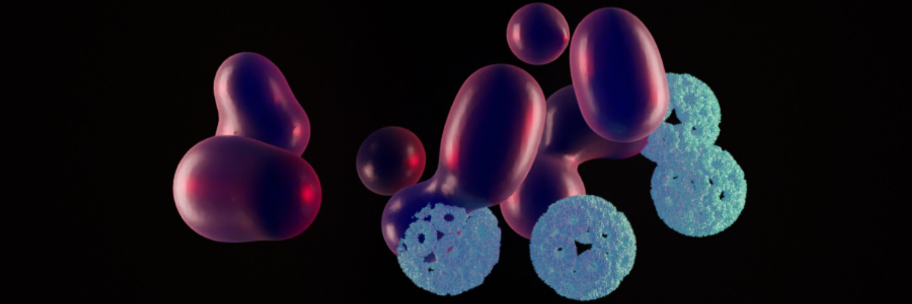 Centre for Programmable Biological Matter
