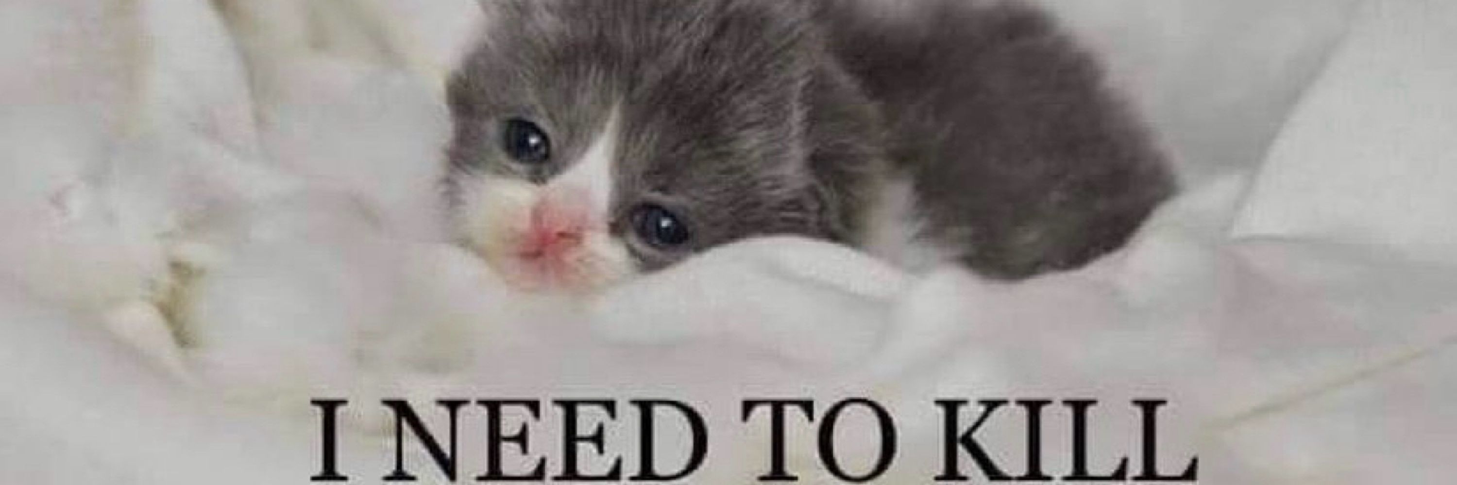 kittehfreak