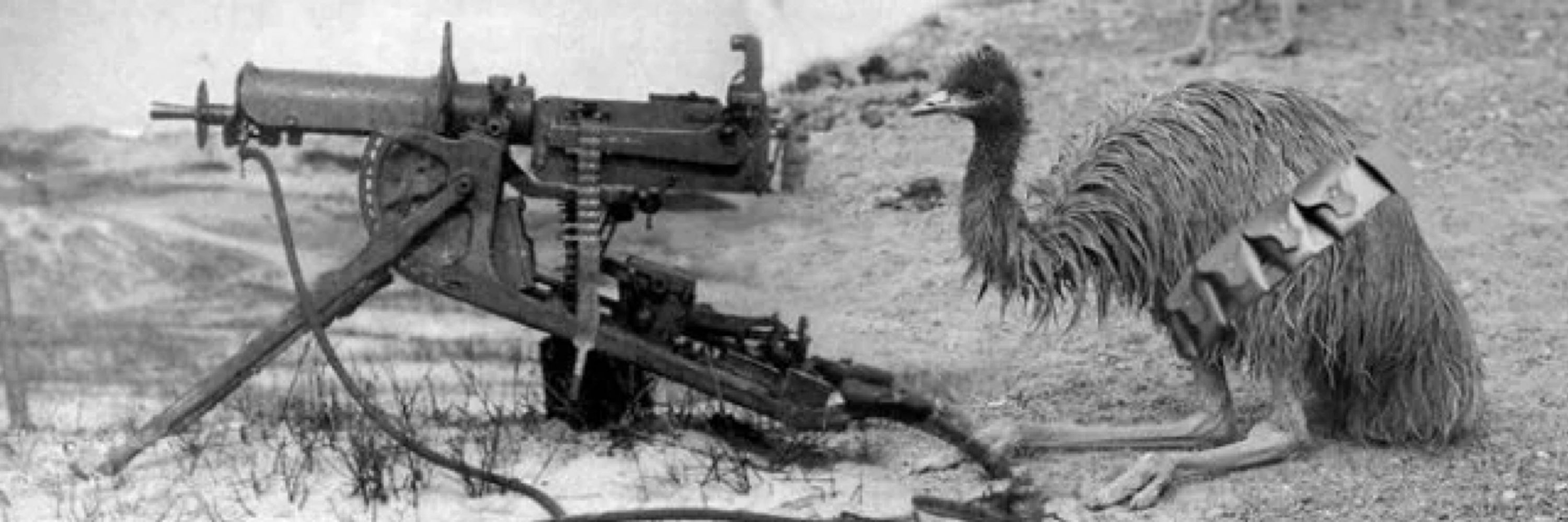 CMK