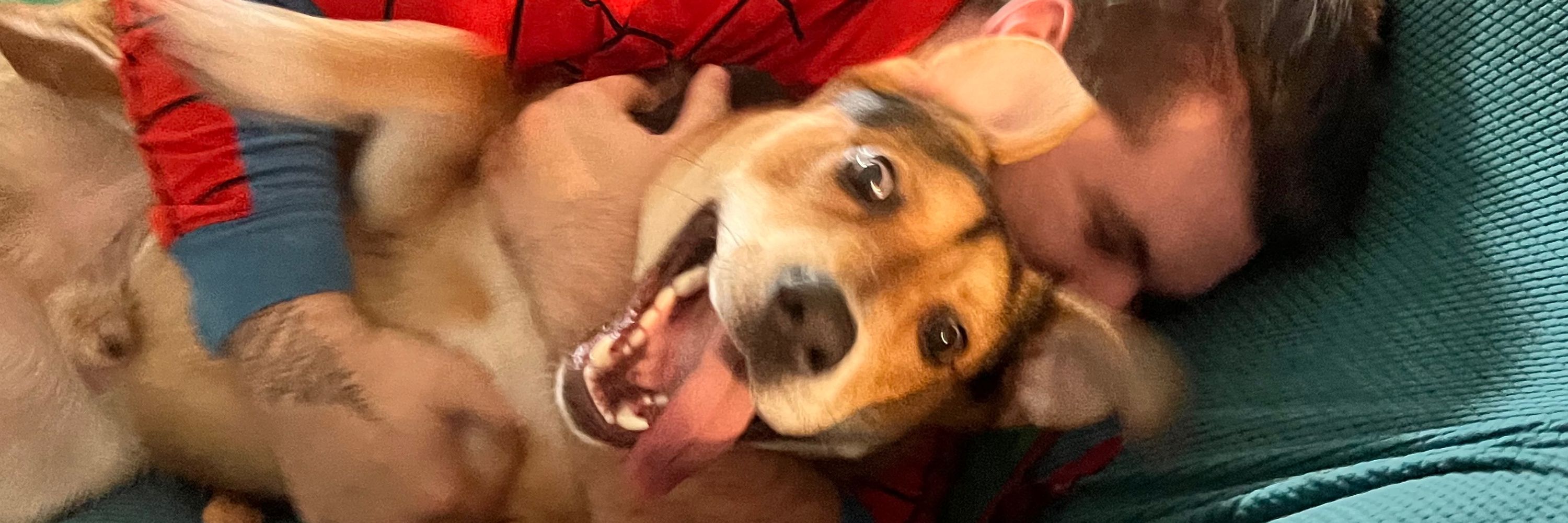 daryn snijdewind