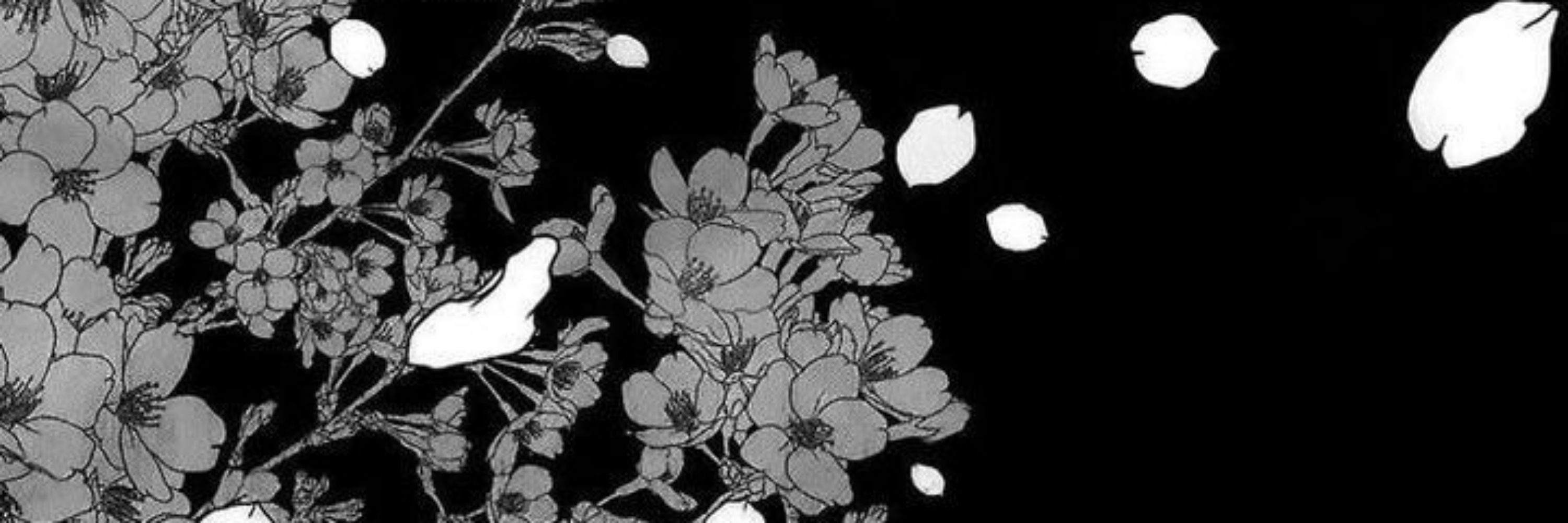 Kayard_san
