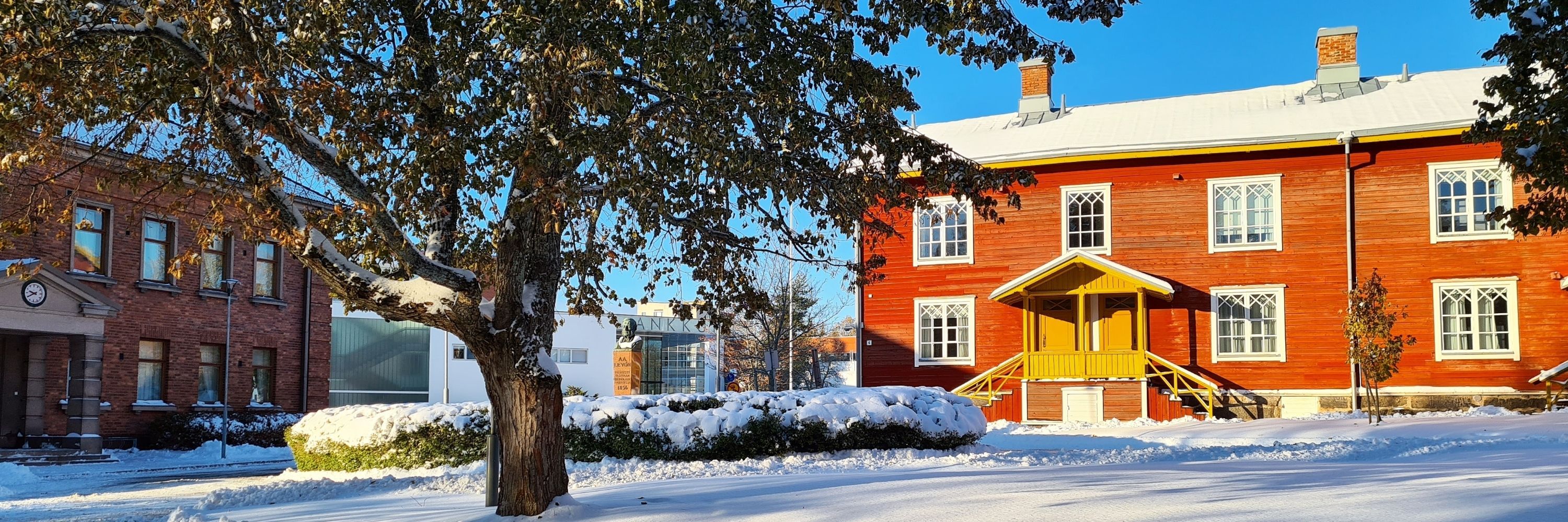 Riikka Kalmi