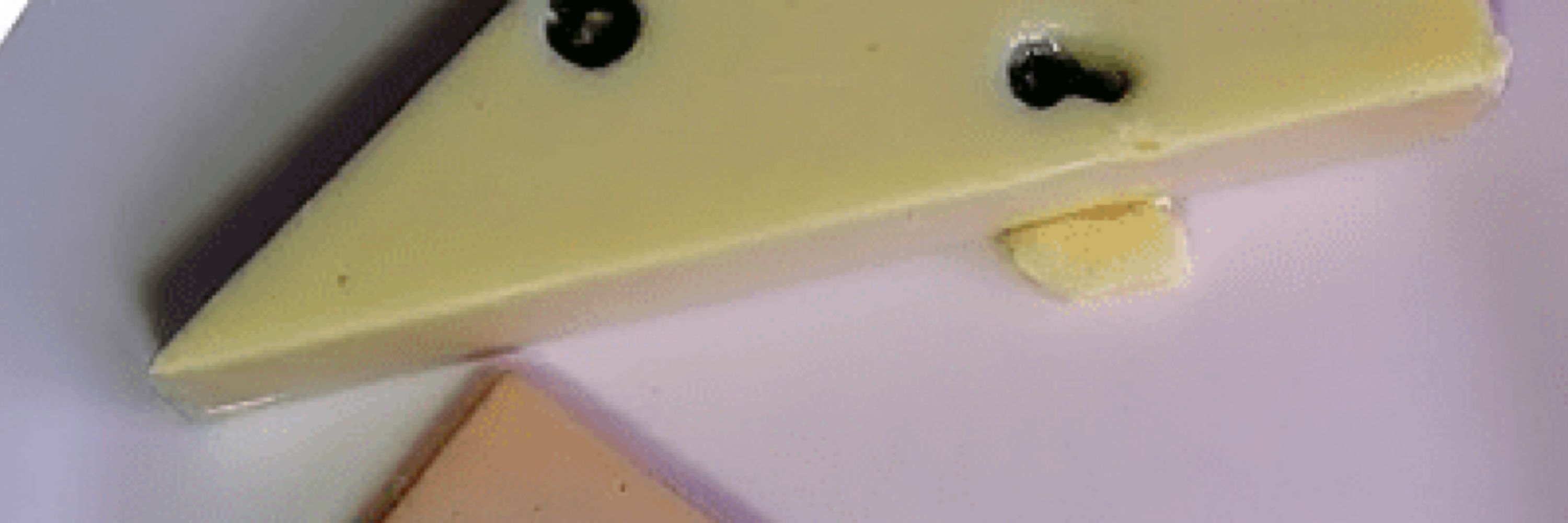 FP
