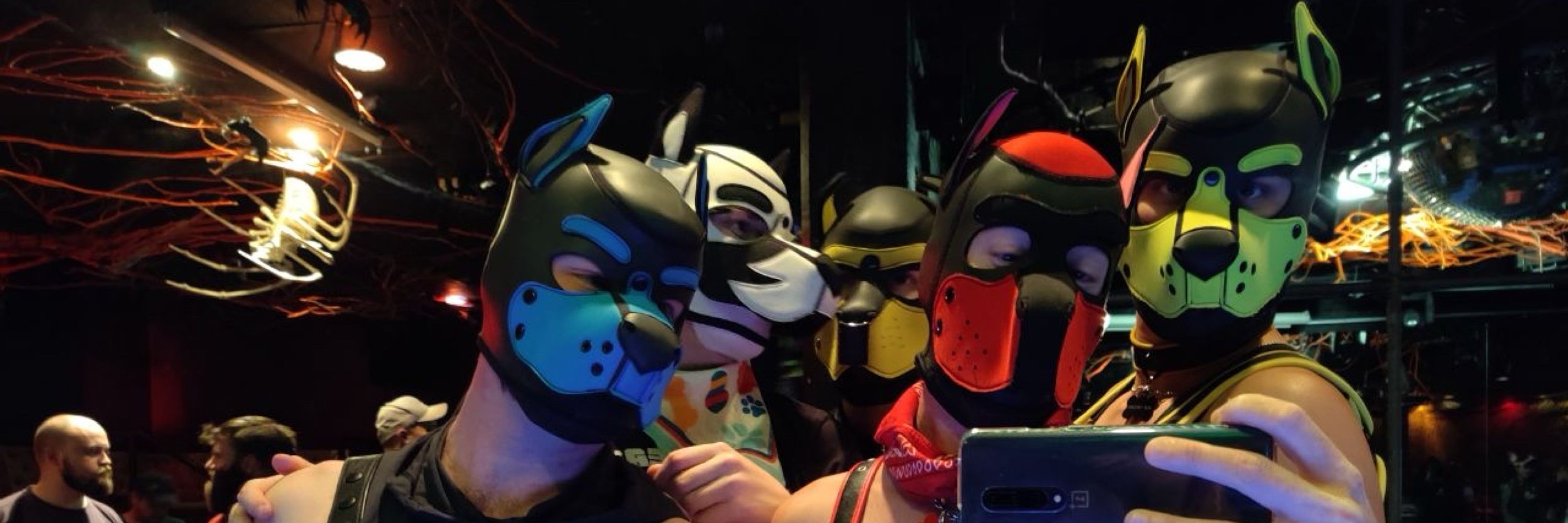 Pup Trojan Nefarious