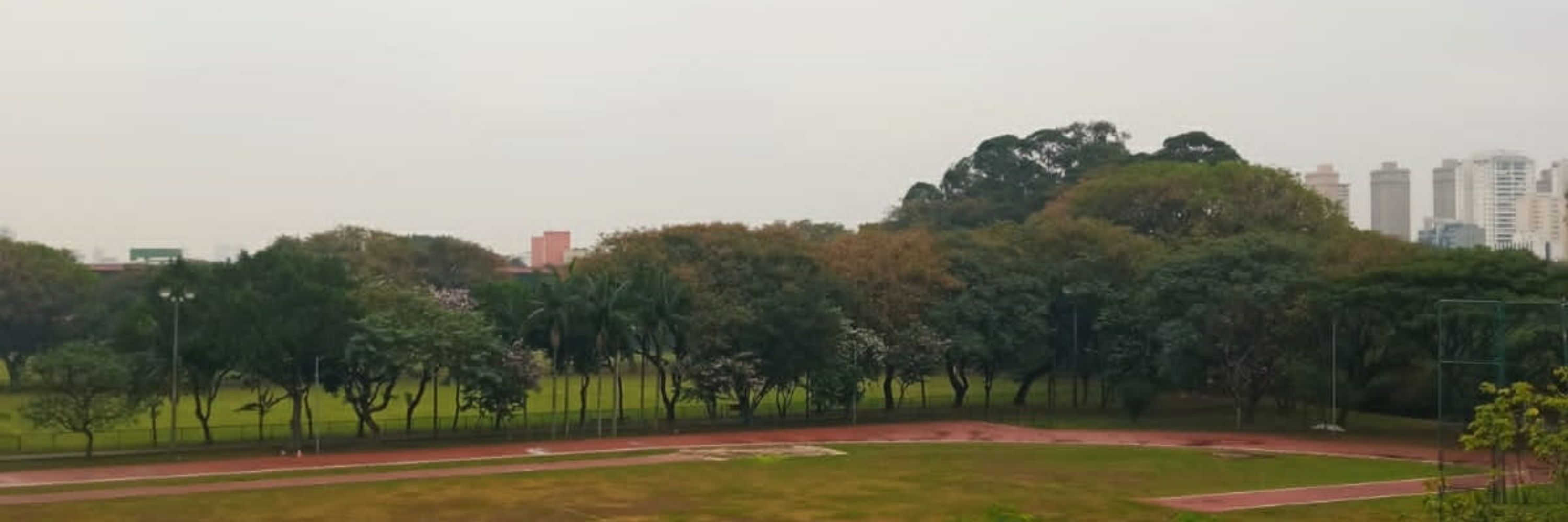 Dudaa
