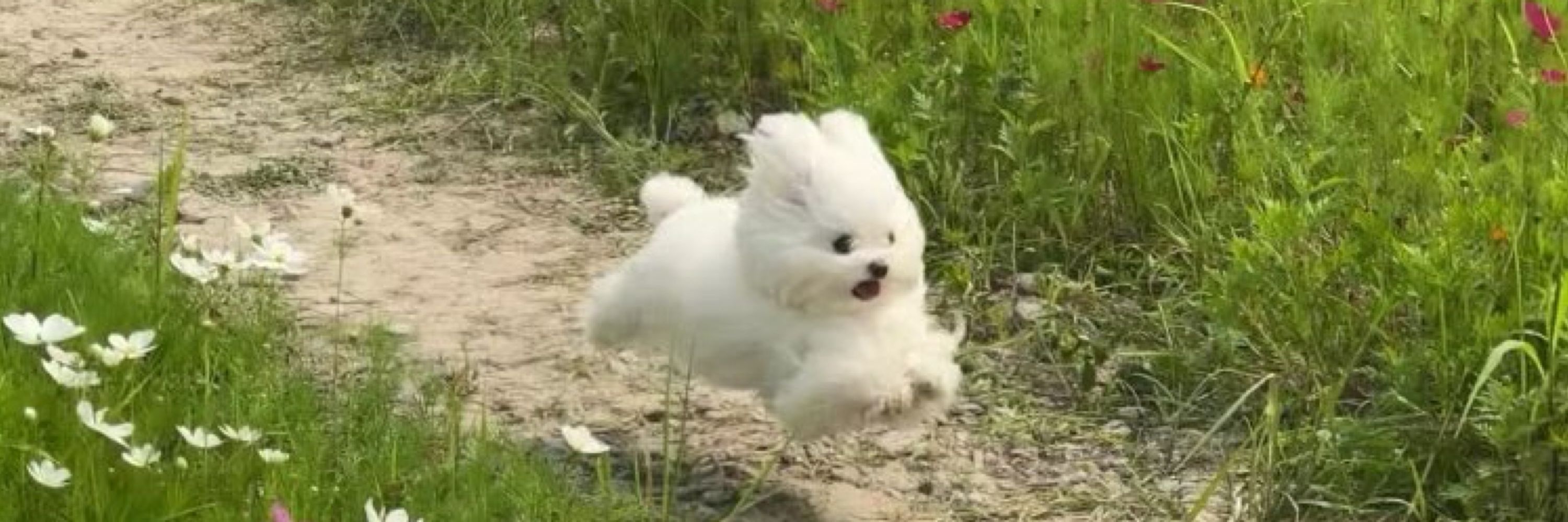 결