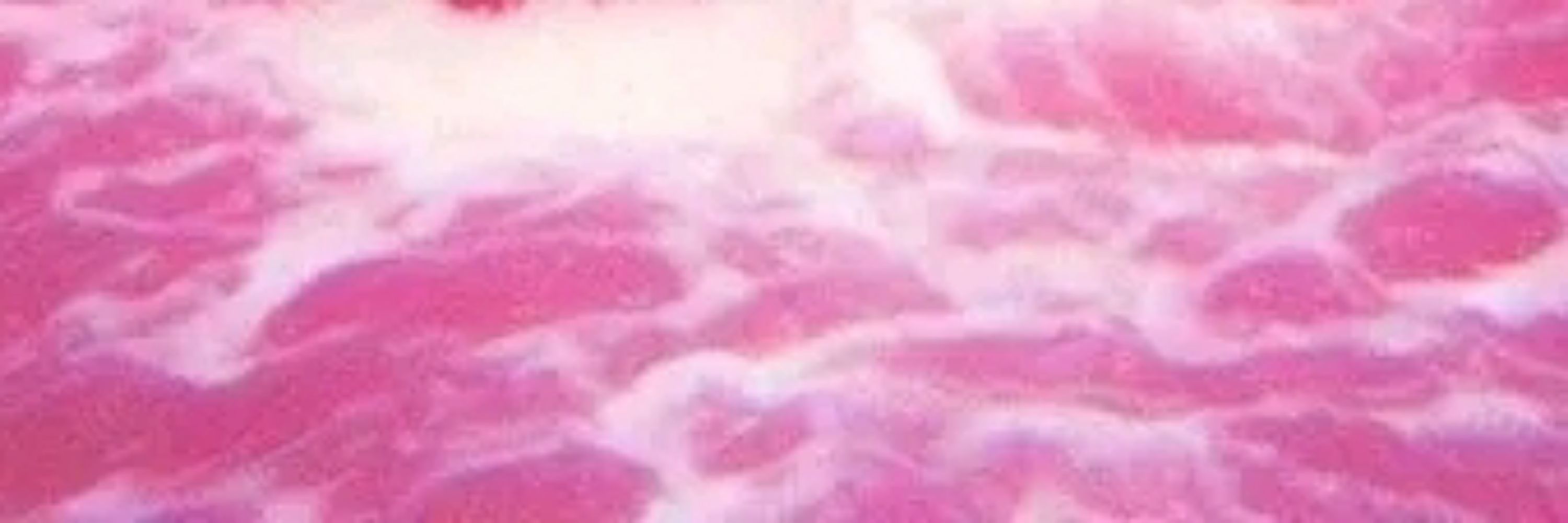 Aru_io0