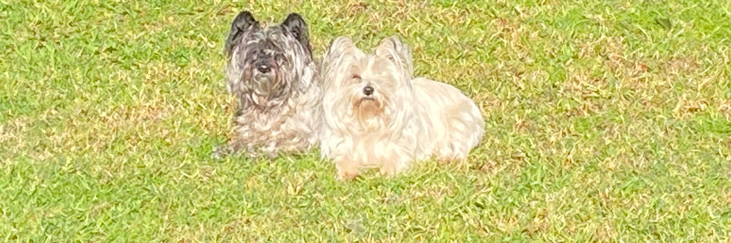 Harriet & Matilda
