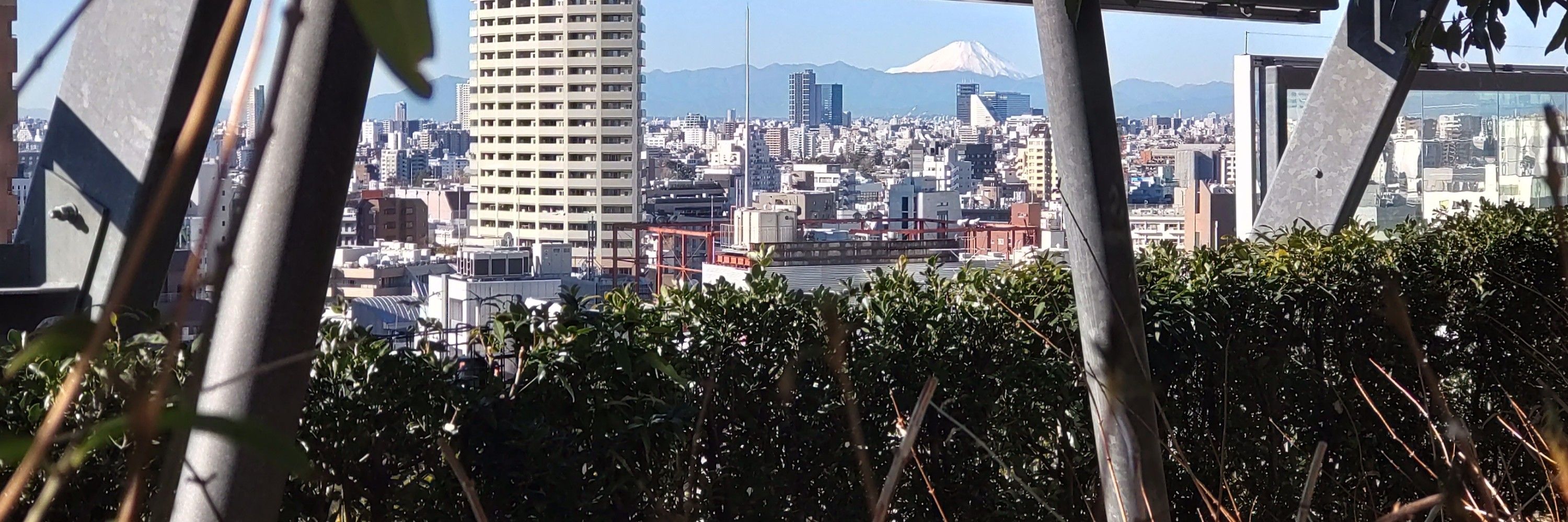 ふじの🌸🍒🏔🕊