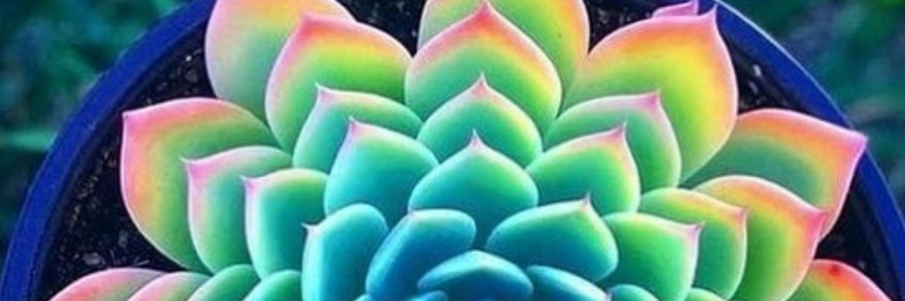 Neon