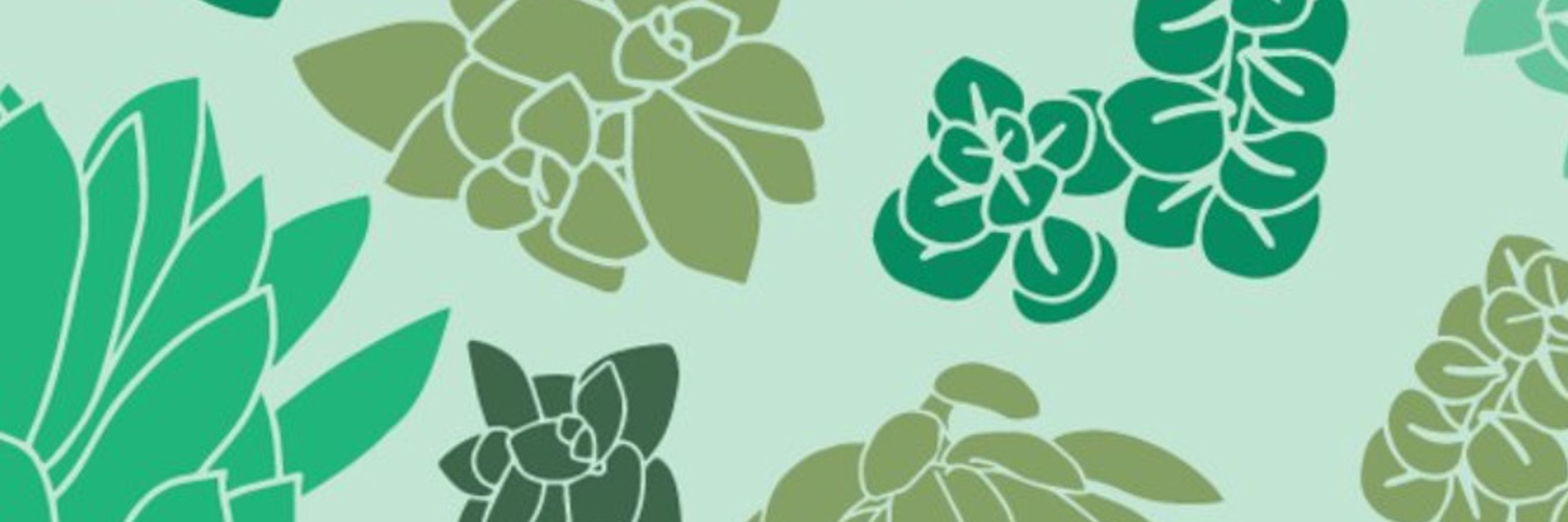 Brigid Barrett | Red Clover Studio