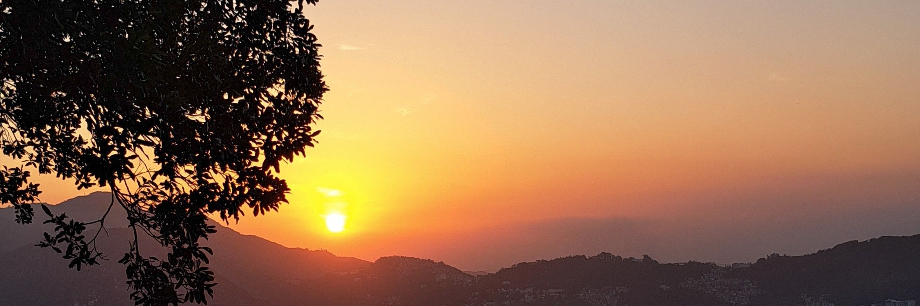 mavi
