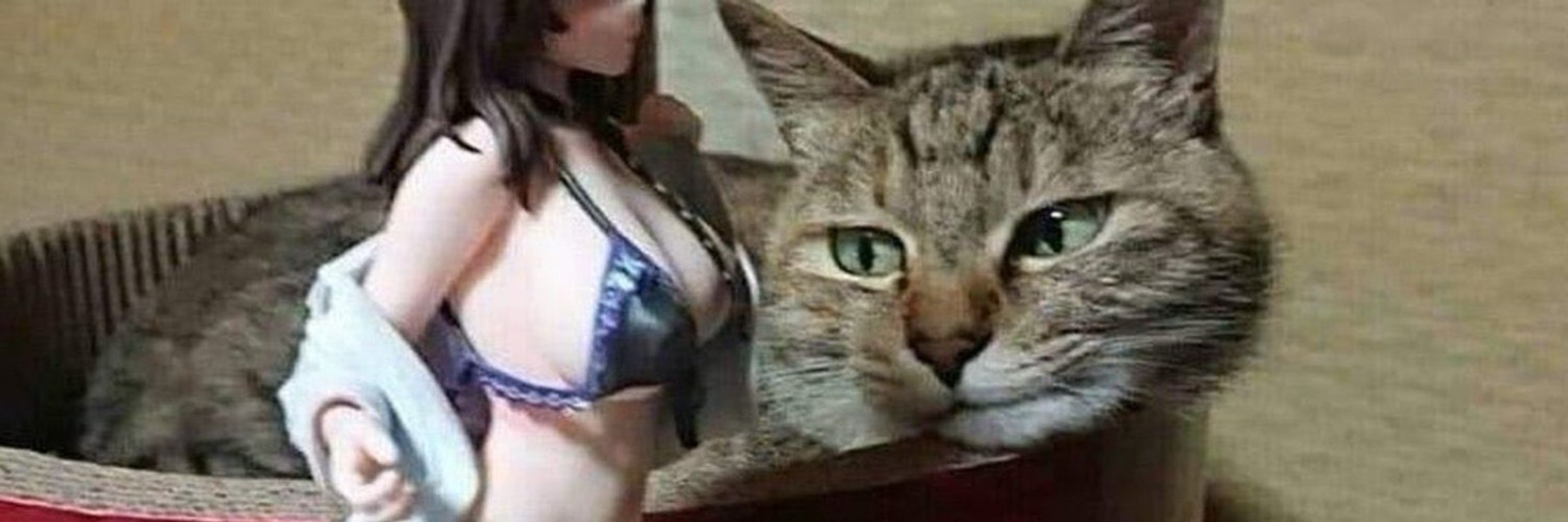 𝒄𝒍𝒂𝒓𝒂 🐈‍⬛