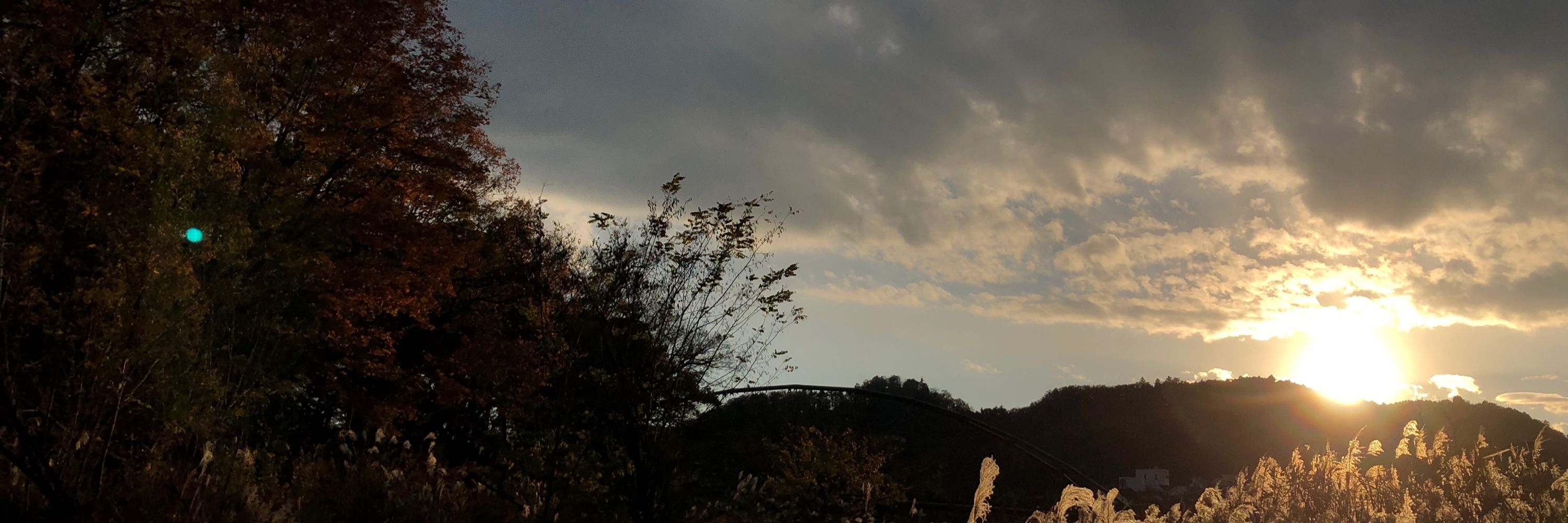 Rutia/るってぃー