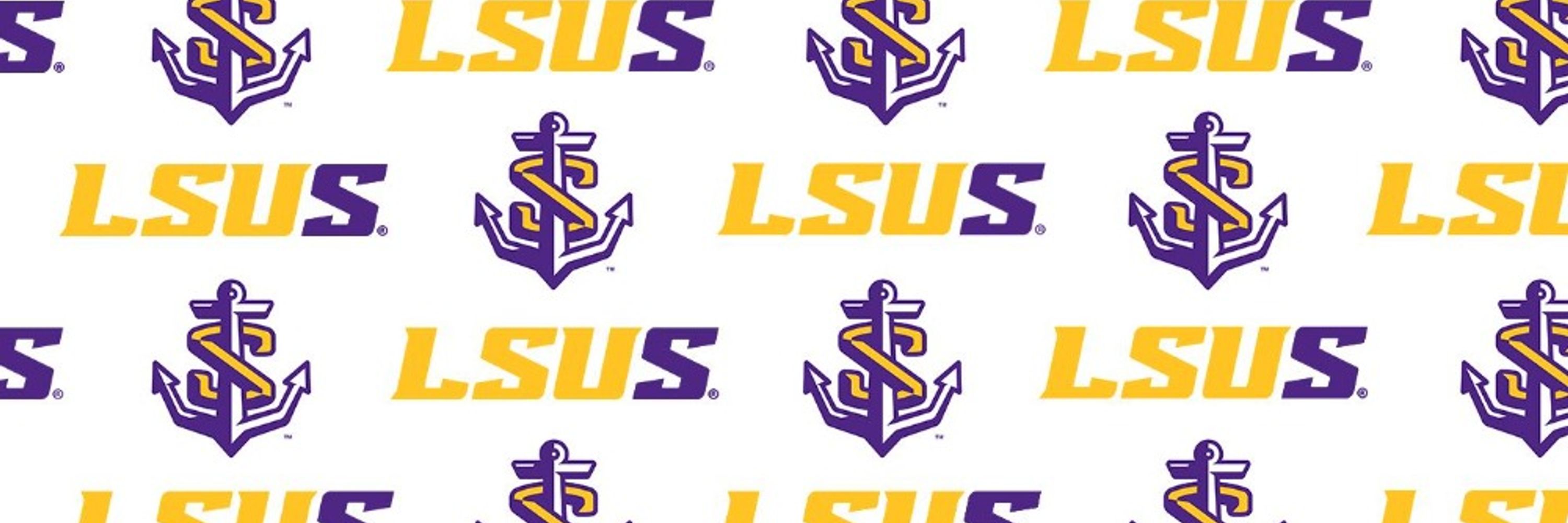 Center for Business and Economic Research at LSU Shreveport 