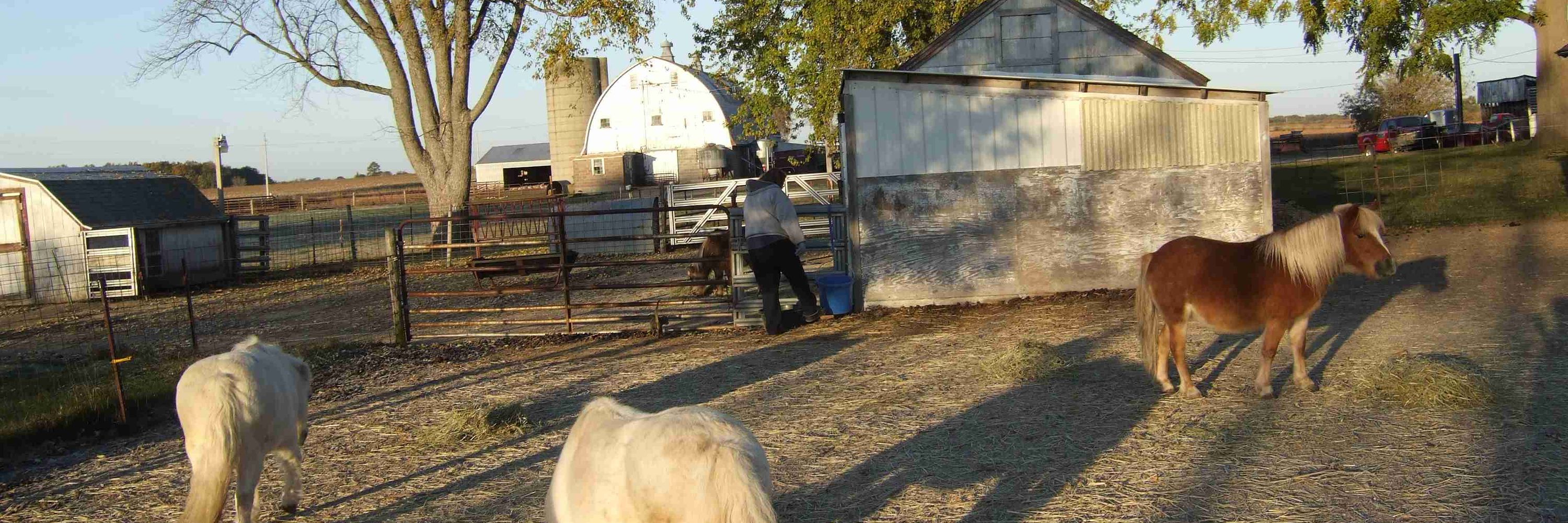 Minifarmer