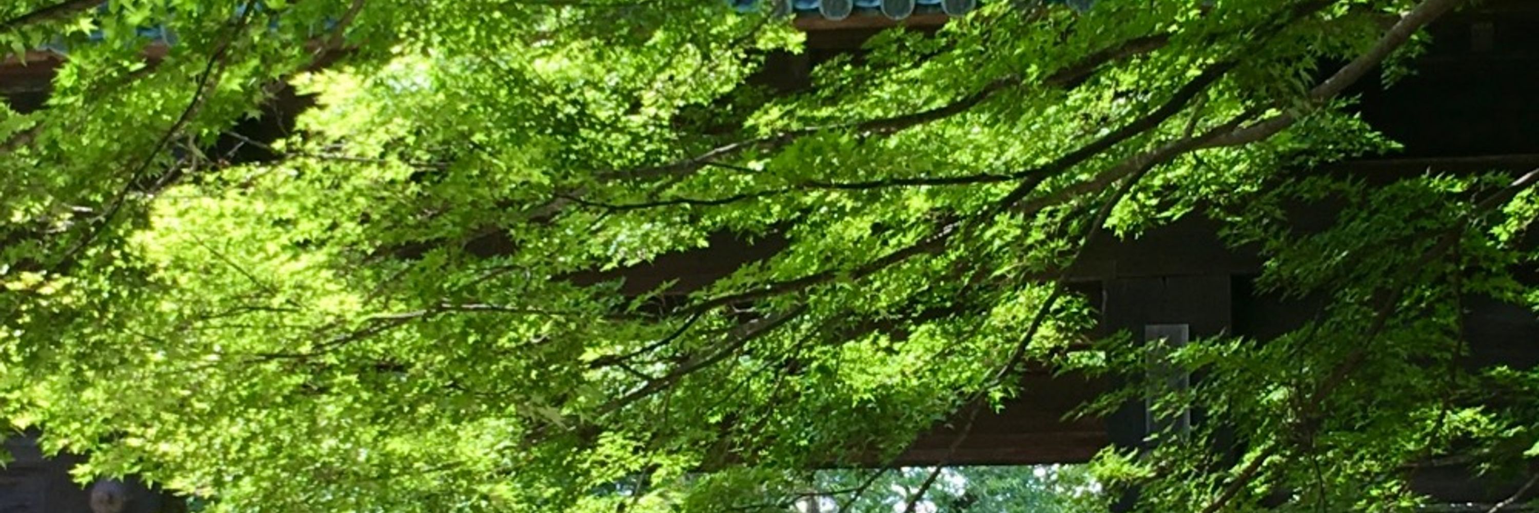 pekopeko0705