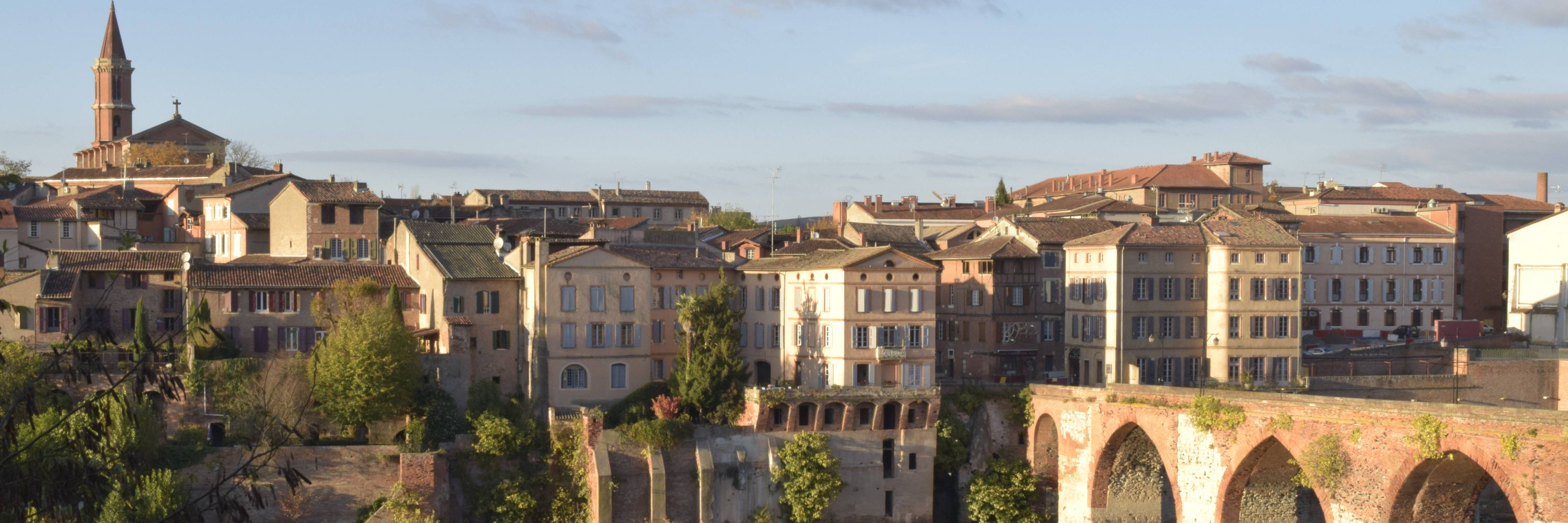 Master Histoire Publique Albi