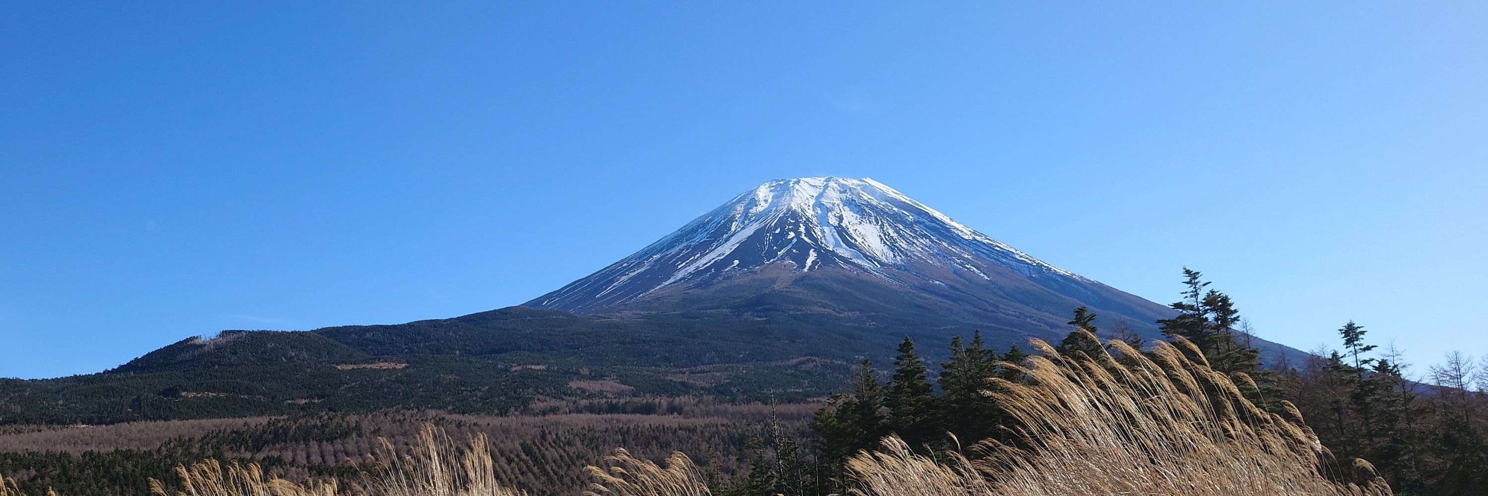みくる