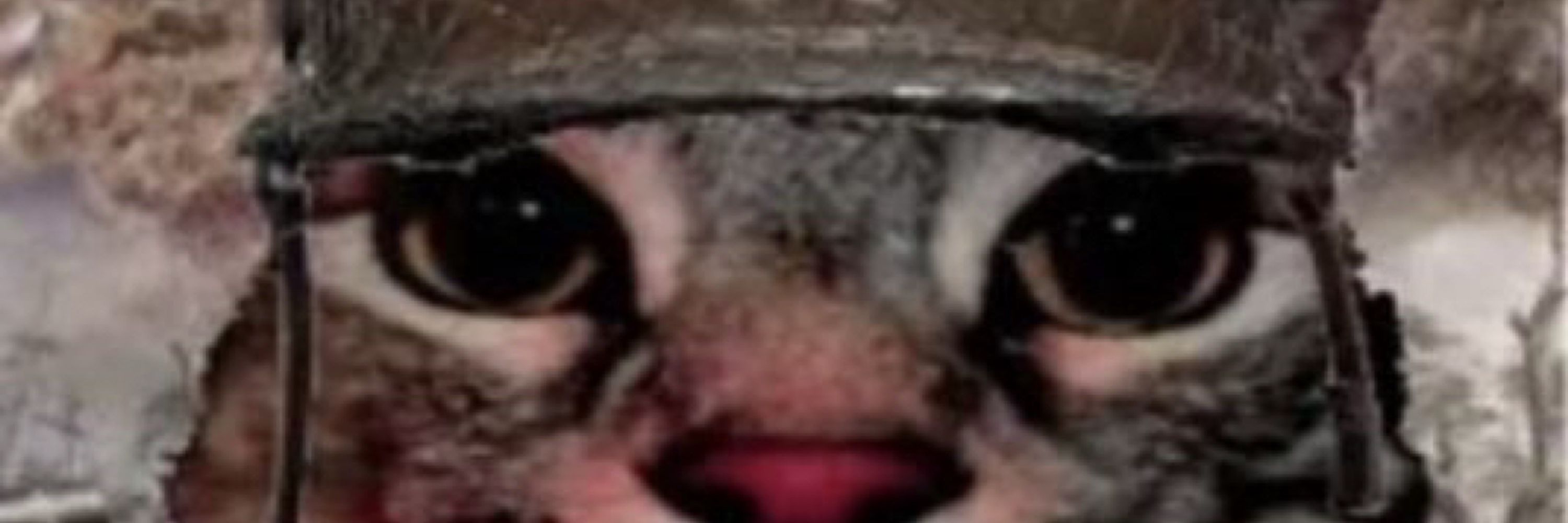Luxu