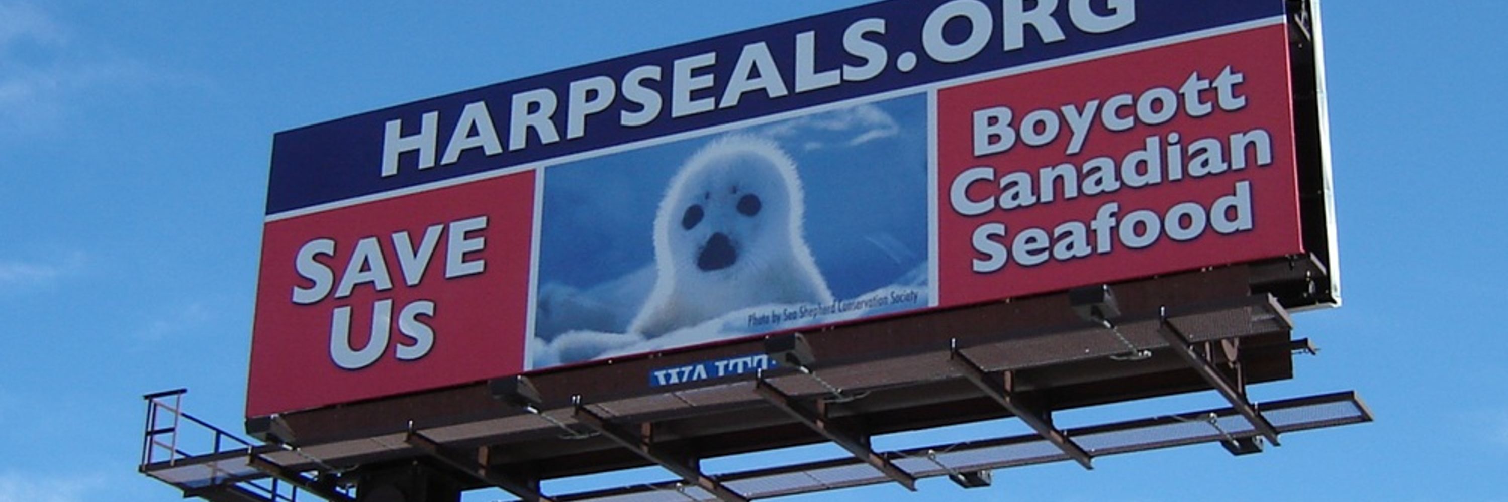 @harpsealsdotorg