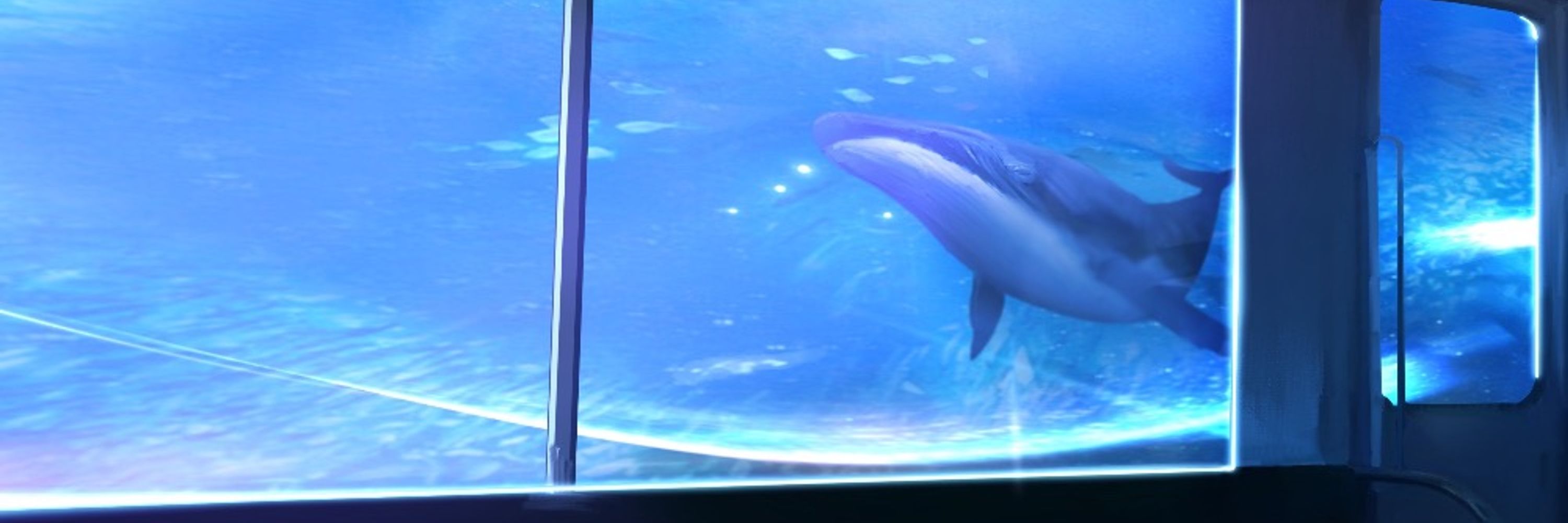 Wis...@ボカロP