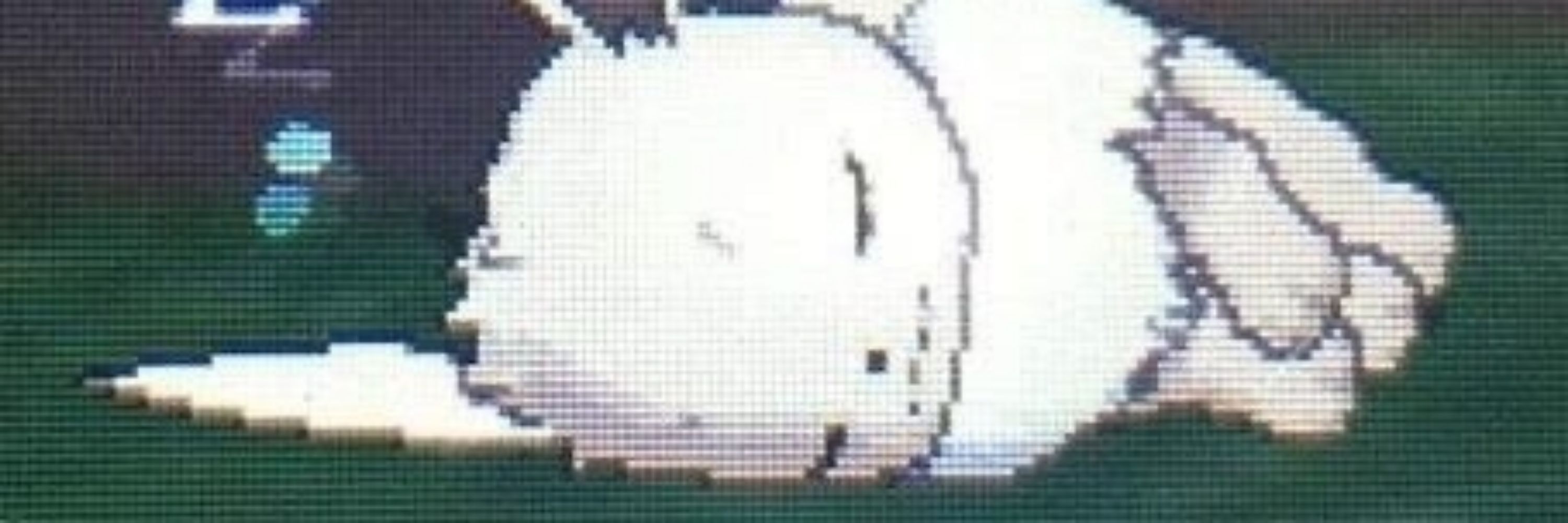 lu