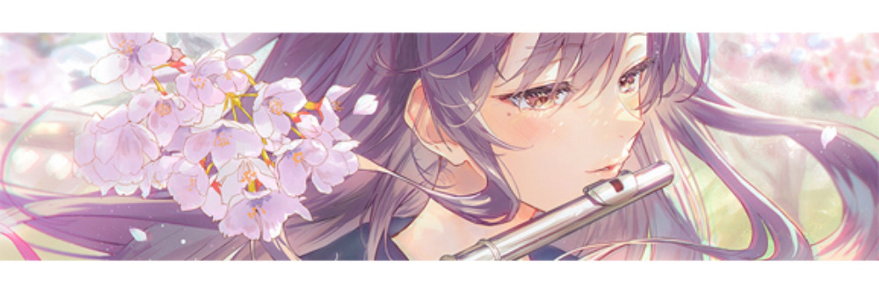 Profile banner