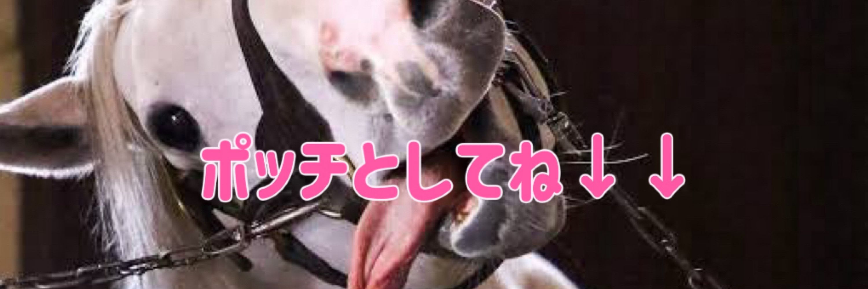 白鳥ゆき🦢名古屋メンズエステ