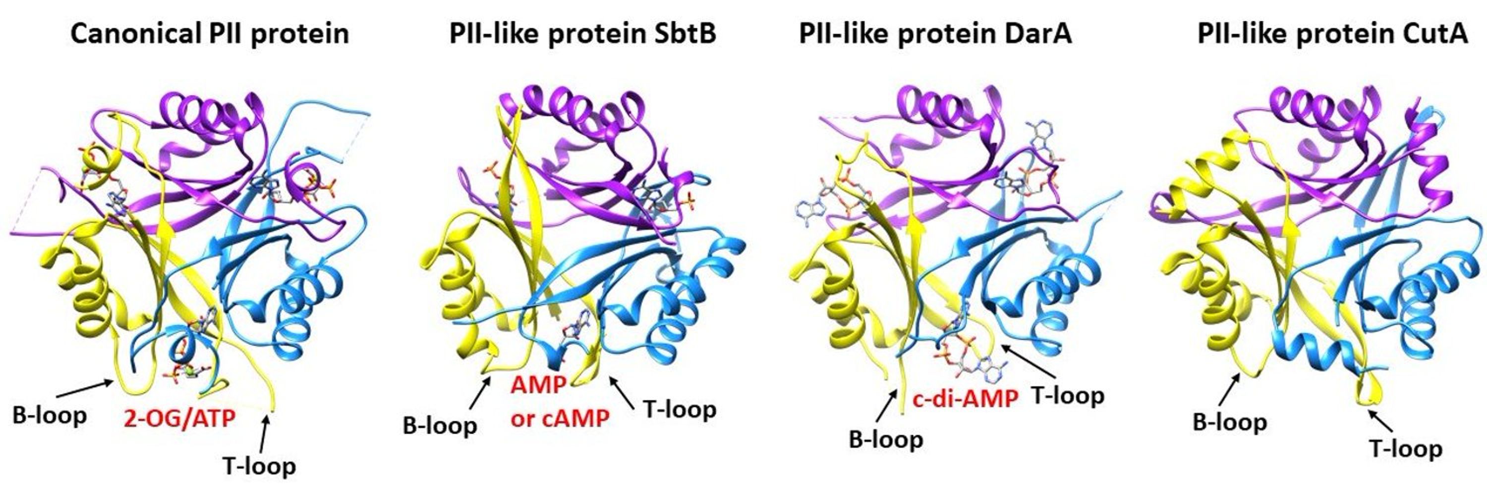 Khaled_Selim Lab
