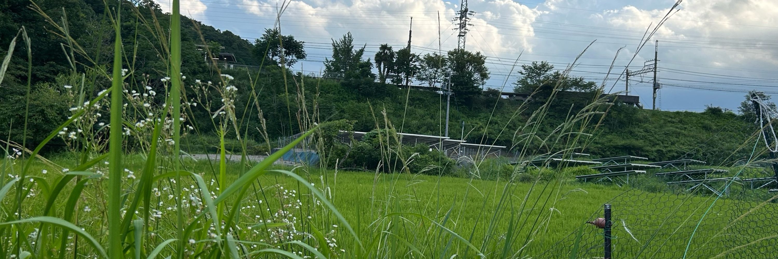 リムってください