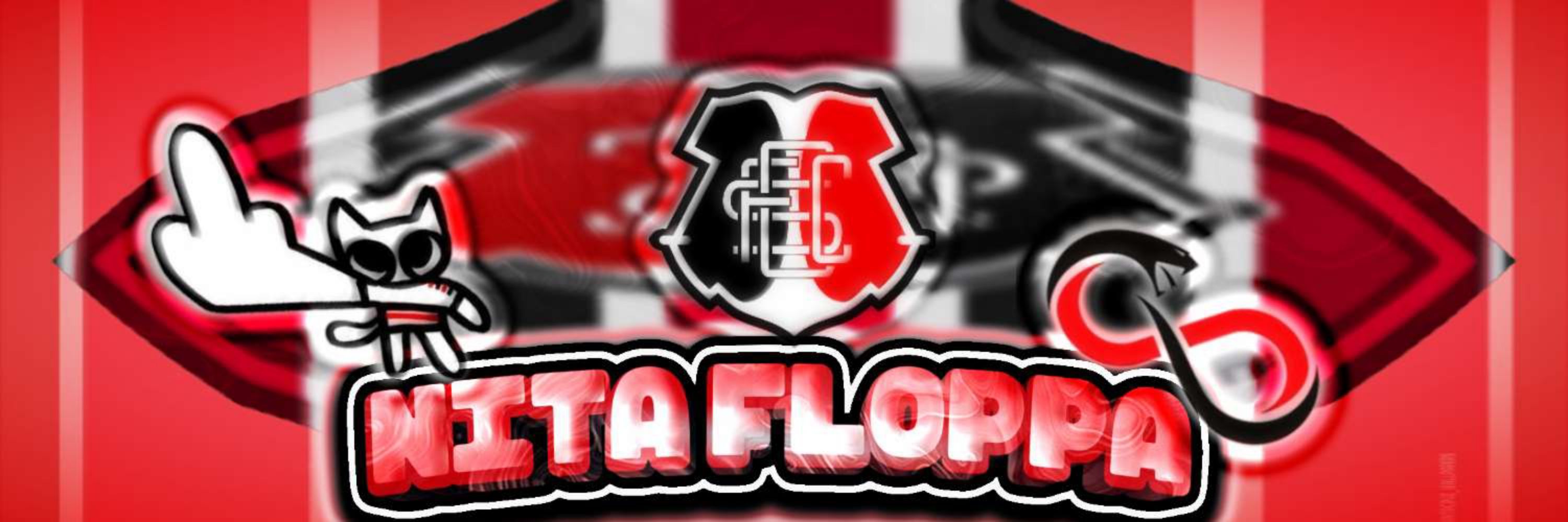 ɴιтᴀ ° ғʟoᴘᴘᴀツ ✩  (#RNN) (#RPG_vazio) (#pizzatuber)